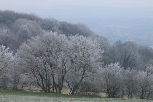 2006-12-26-schoenberg-raureif