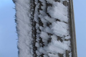 2008-02-02-schauinsland