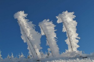 2010-01-04-schauinsland-halde