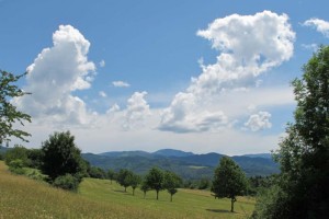 2011-06-05-schoenberg