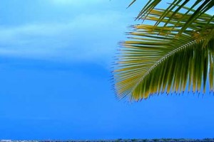 eine Insel - es ist noch Platz